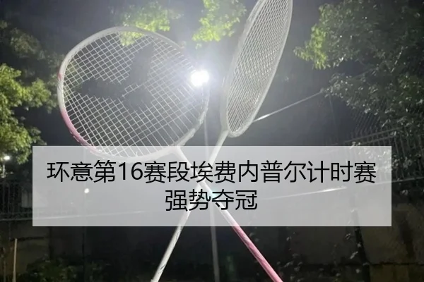 huan-yi-di-sai-duan-ai-fei-nei-pu-er-ji-shi-sai-qiang-shi-duo-guan-3-459.jpg
