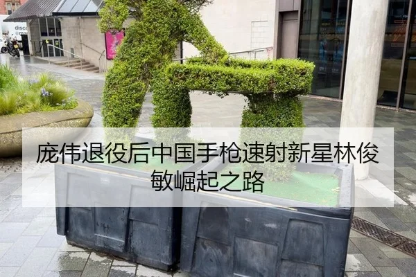 pang-wei-tui-yi-hou-zhong-guo-shou-qiang-su-she-xin-xing-lin-jun-min-jue-qi-zhi-lu-3-582.jpg