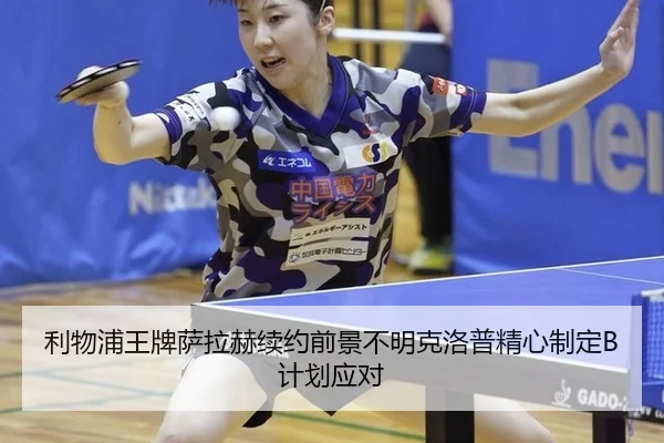 li-wu-pu-wang-pai-sa-la-he-xu-yue-qian-jing-bu-ming-ke-luo-pu-jing-xin-zhi-ding-ji-hua-ying-dui-2-314.jpg