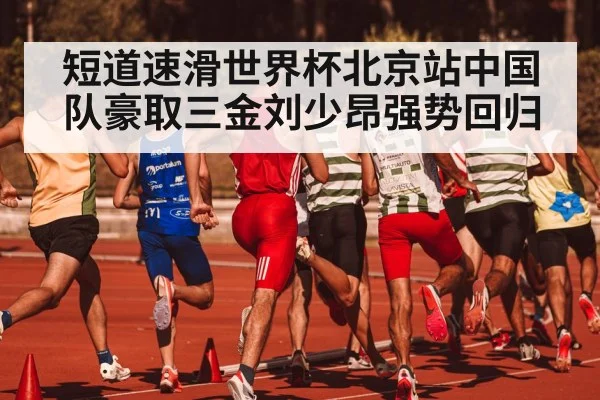 短道速滑世界杯北京站中国队豪取三金刘少昂强势回归