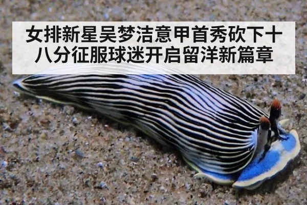 女排新星吴梦洁意甲首秀砍下十八分征服球迷开启留洋新篇章
